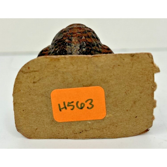 Vintage Gurley Thanksgiving Turkey Candle 2.5" SKU H563 - Picture 4 of 4